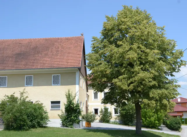 Gestuet