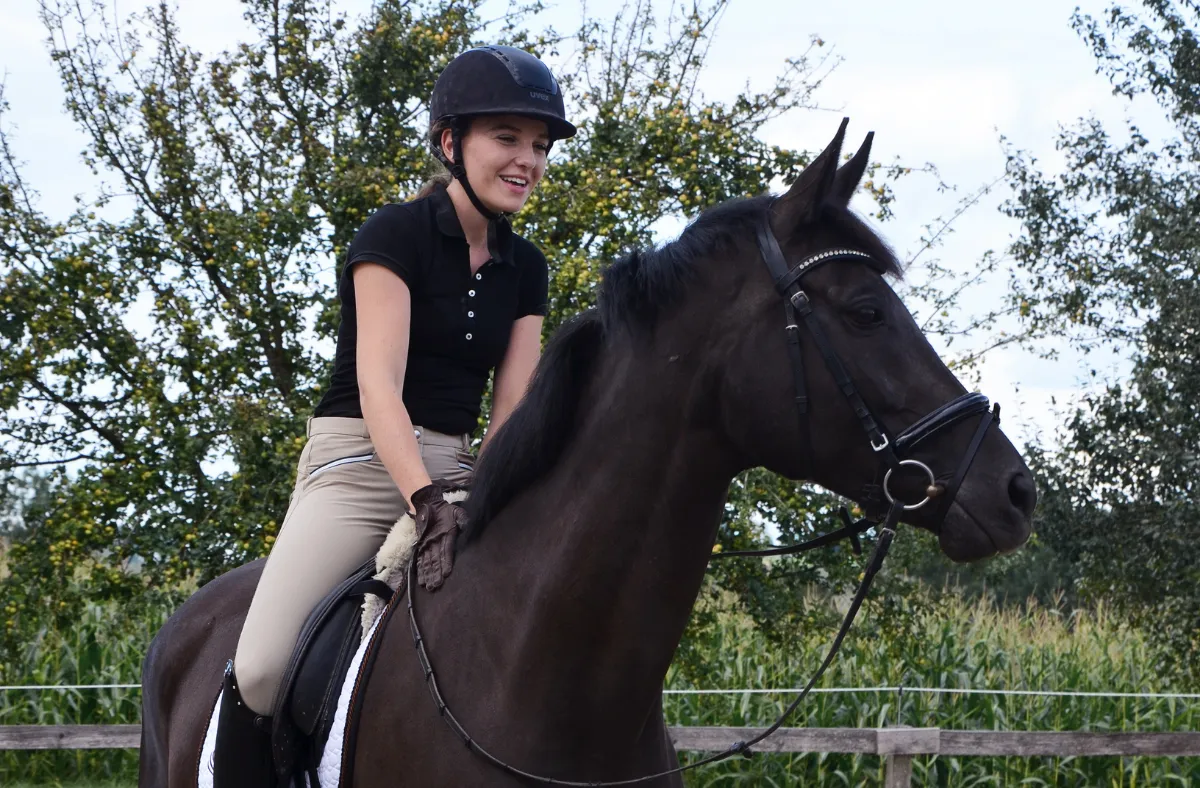Schöne Nacht, Trakehner Stute – Bild 5